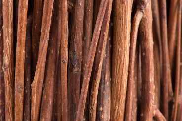 Tree Branches (Brushwood) Macro Background